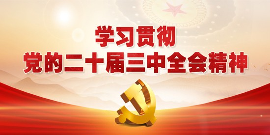 學(xué)習貫徹黨的二十屆三中全會(huì )精神